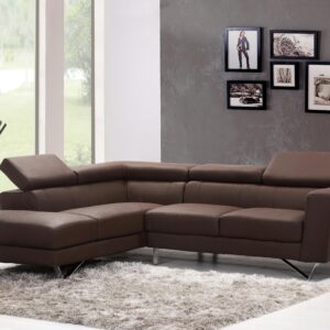 Home Contemporary living room featuring a stylish brown sectional sofa and artistic wall frames.